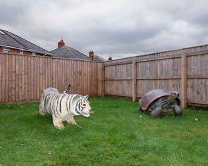 BURNTHOUSE LANE