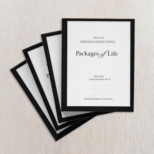 STEPHEN ROBERT THORNTON: PACKAGES OF LIFE - OOLOGY STILL LIFE