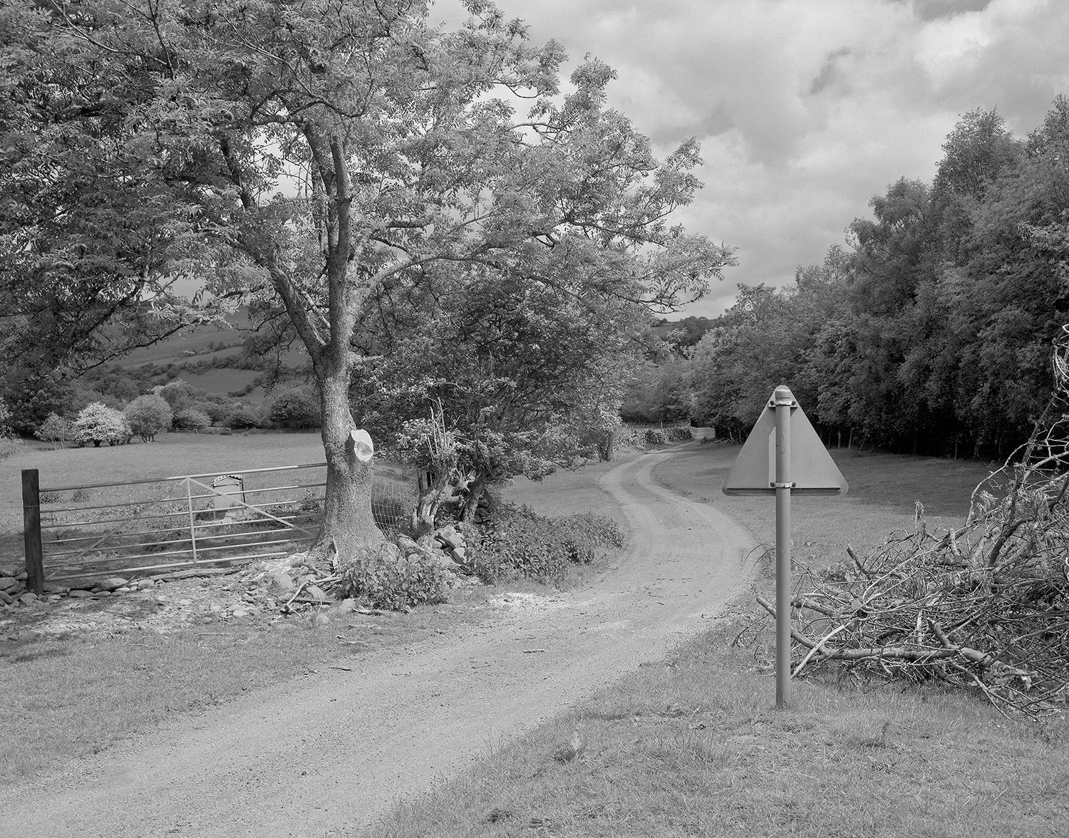 FIELD TRIPS: Travels In Britain 1976-1993 - PRE-ORDER