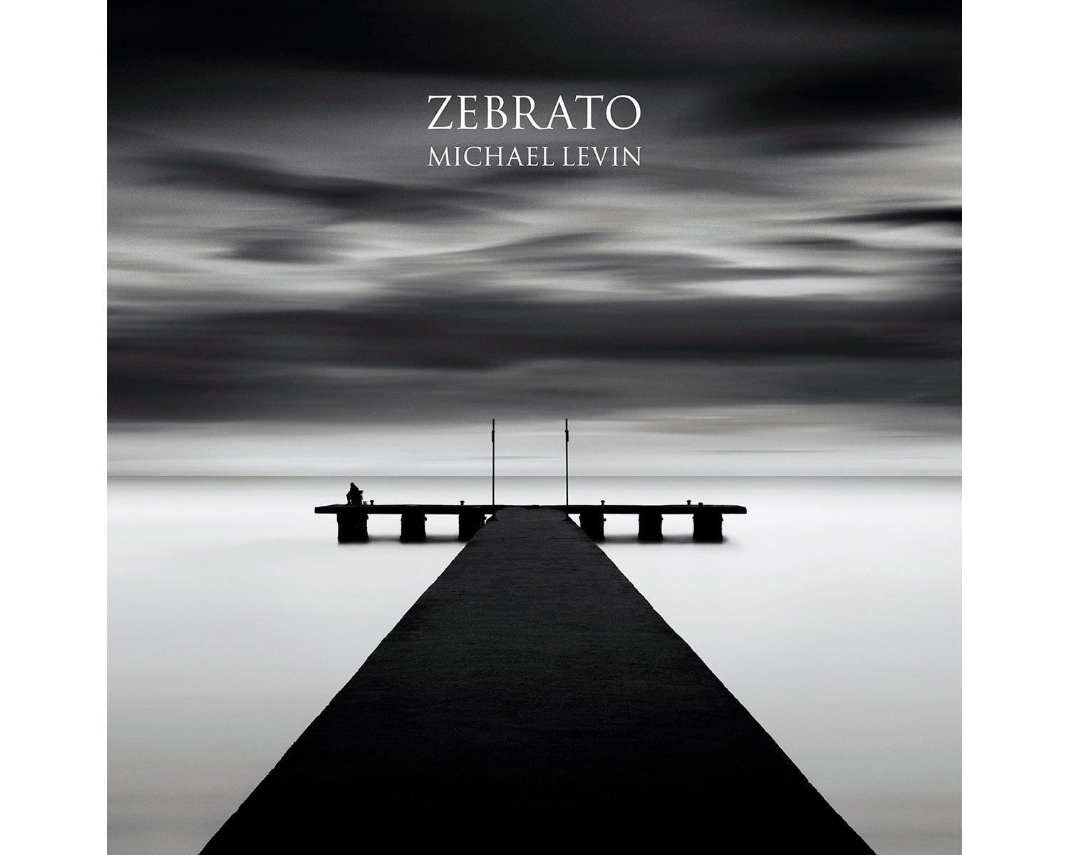 MICHAEL LEVIN: Zebrato