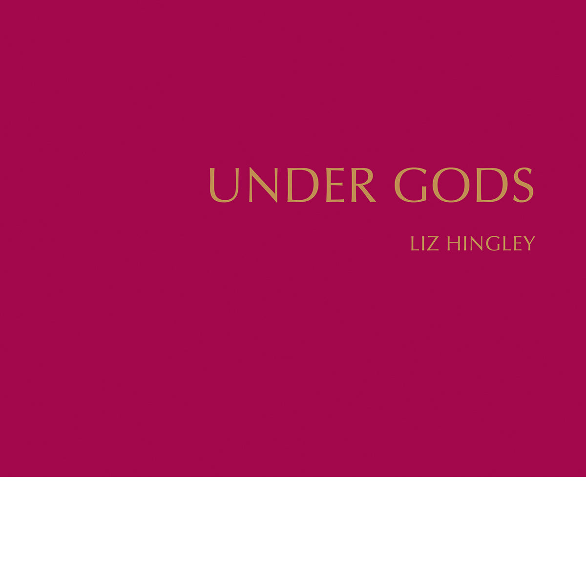LIZ HINGLEY: UNDER GODS