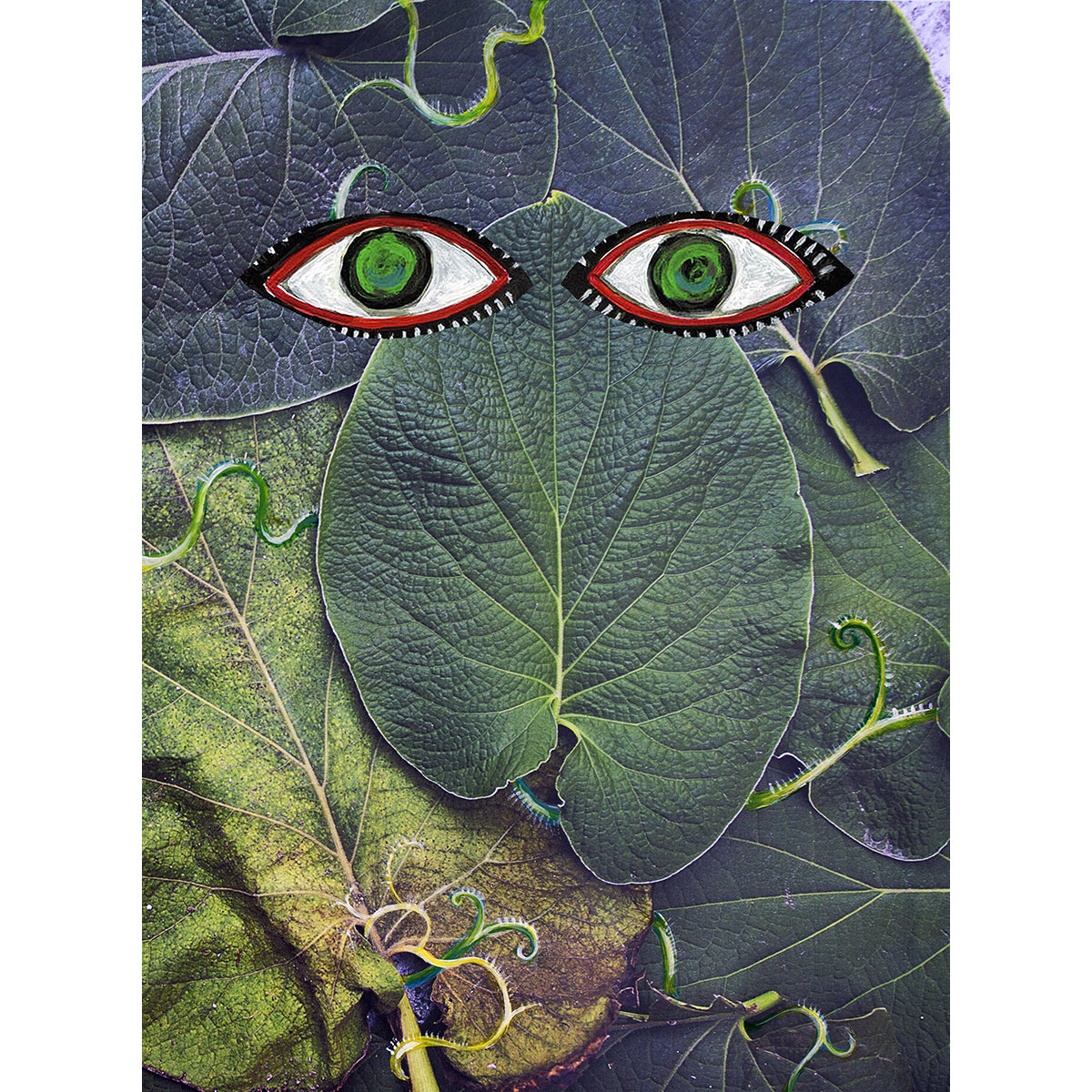 MAYA ART: Hoja Santa