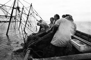 Catching The Tide: Salmon Net Fishing in Scotland