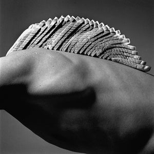 BRIAN GRIFFIN: THE BLACK KINGDOM