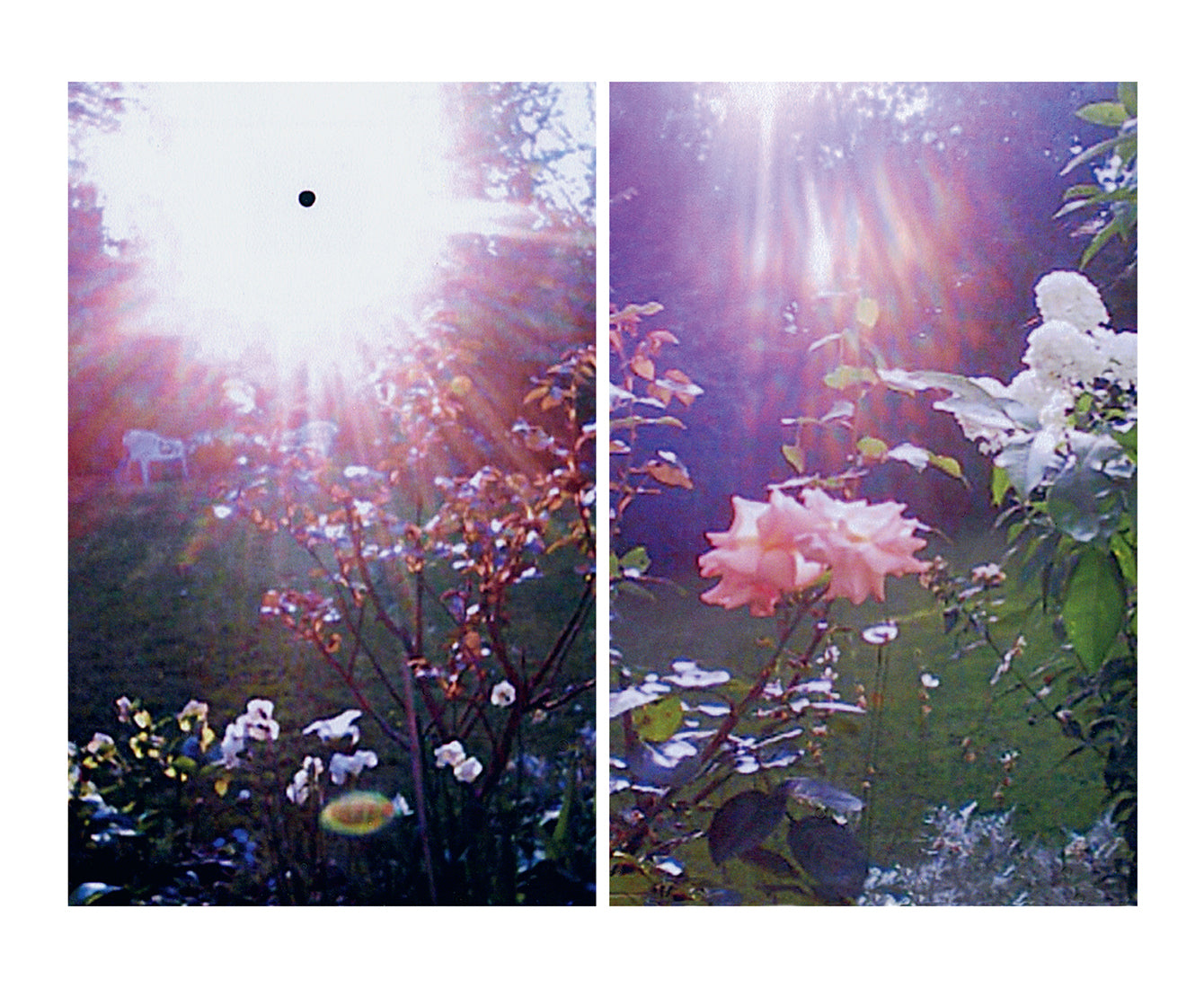 PADDY SUMMERFIELD: THE BEGINNINGS OF ETERNITY