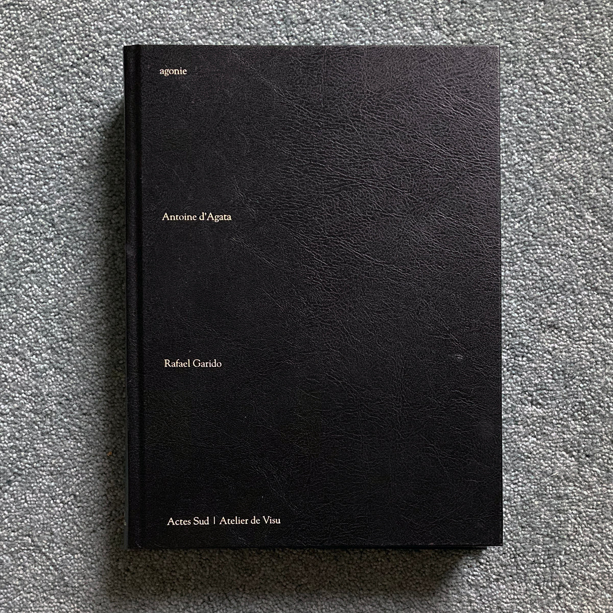 ANTOINE D'AGATA: Agonie