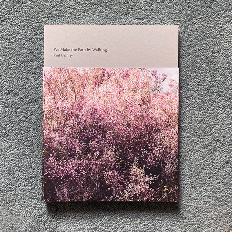 PAUL GAFFNEY: We Make the Path by Walking