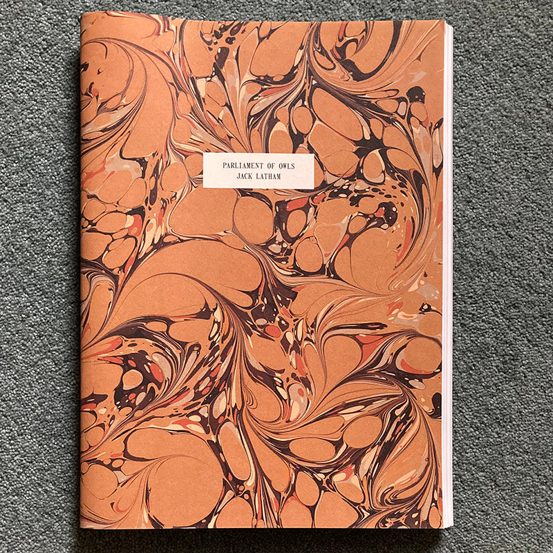 JACK LATHAM: PARLIAMENT OF OWLS