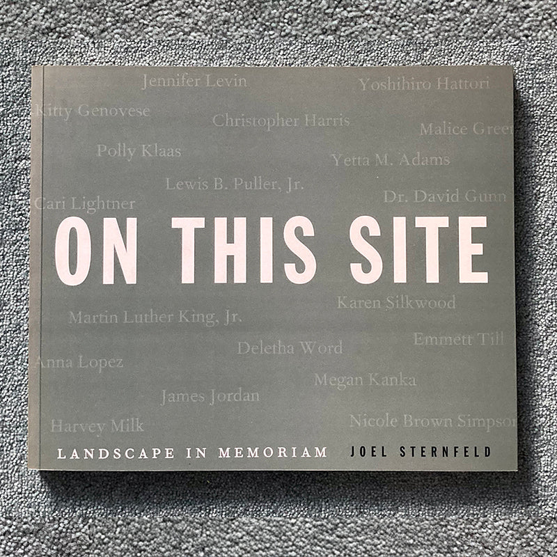 JOEL STERNFELD: On This Site: Landscape in Memoriam - dewi lewis