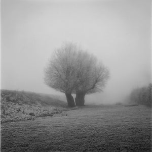 PAUL HART: FRAGILE