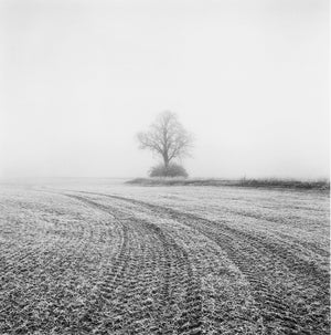 PAUL HART: FRAGILE