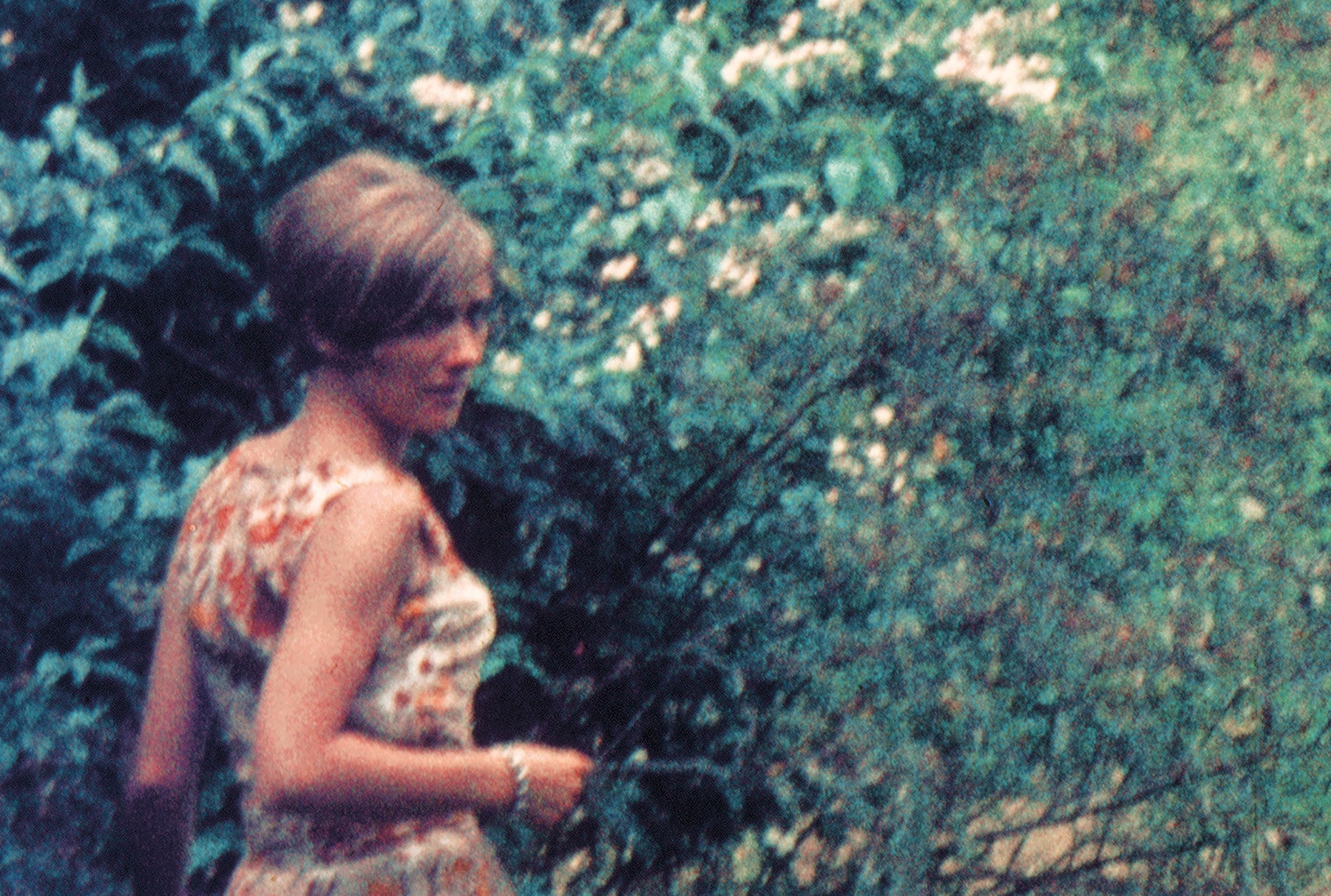 THE MOTHERS I MIGHT HAVE HAD