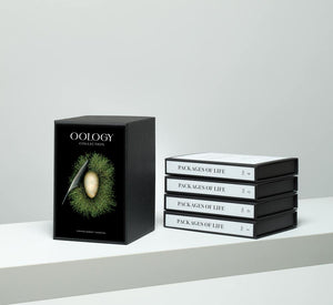 STEPHEN ROBERT THORNTON: PACKAGES OF LIFE - OOLOGY STILL LIFE