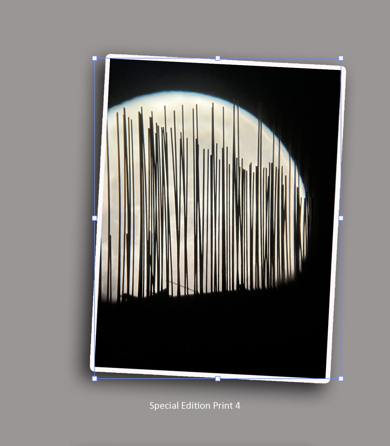 MOON CITY