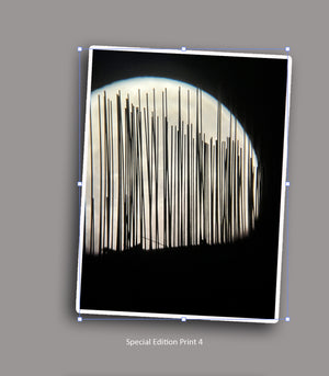 MOON CITY