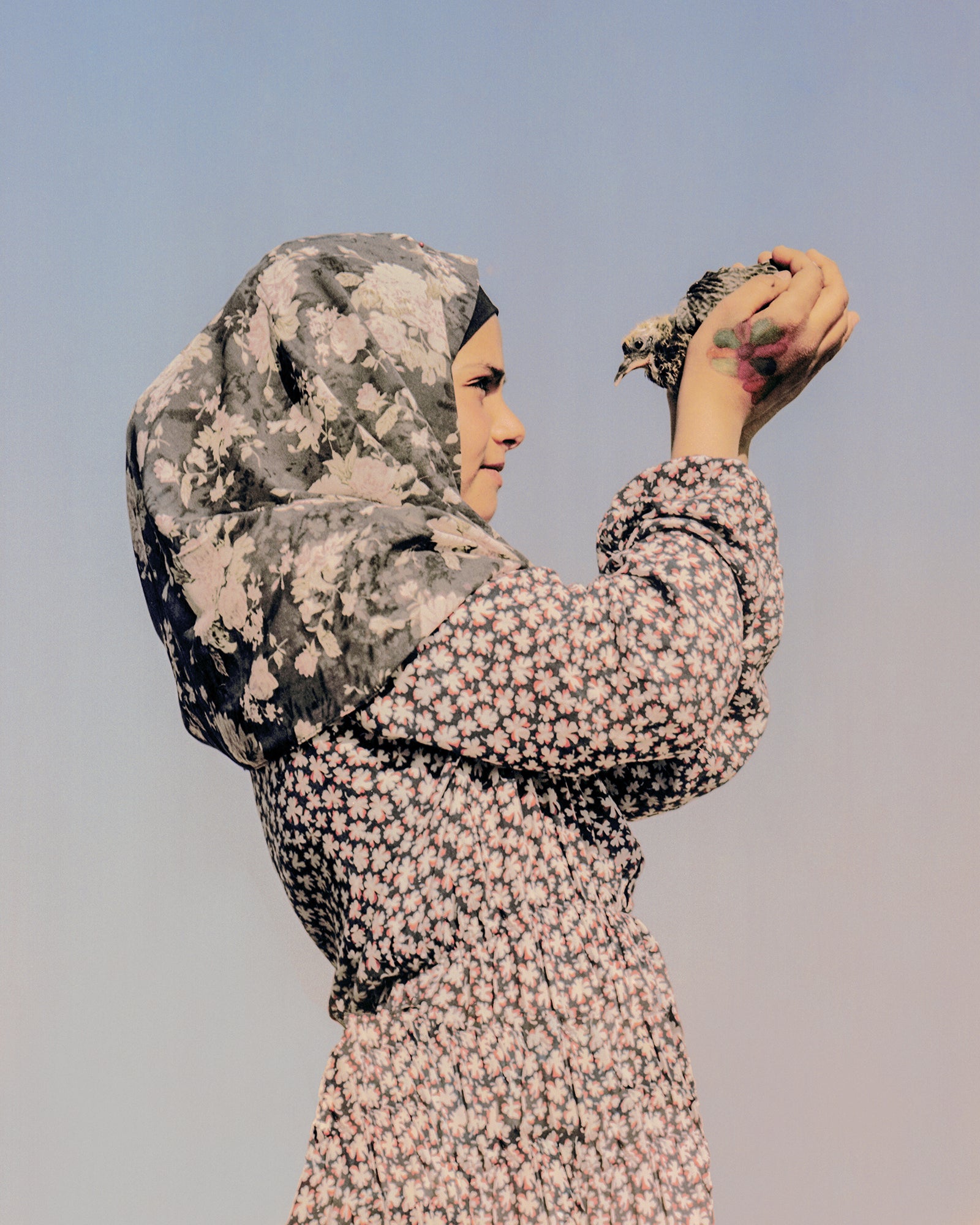 Founded in 1994 Dewi Lewis Publishing is internationally known for its