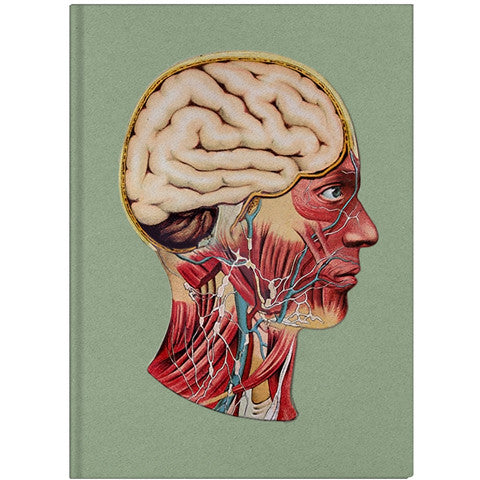 PHILLIP TOLEDANO: Maybe