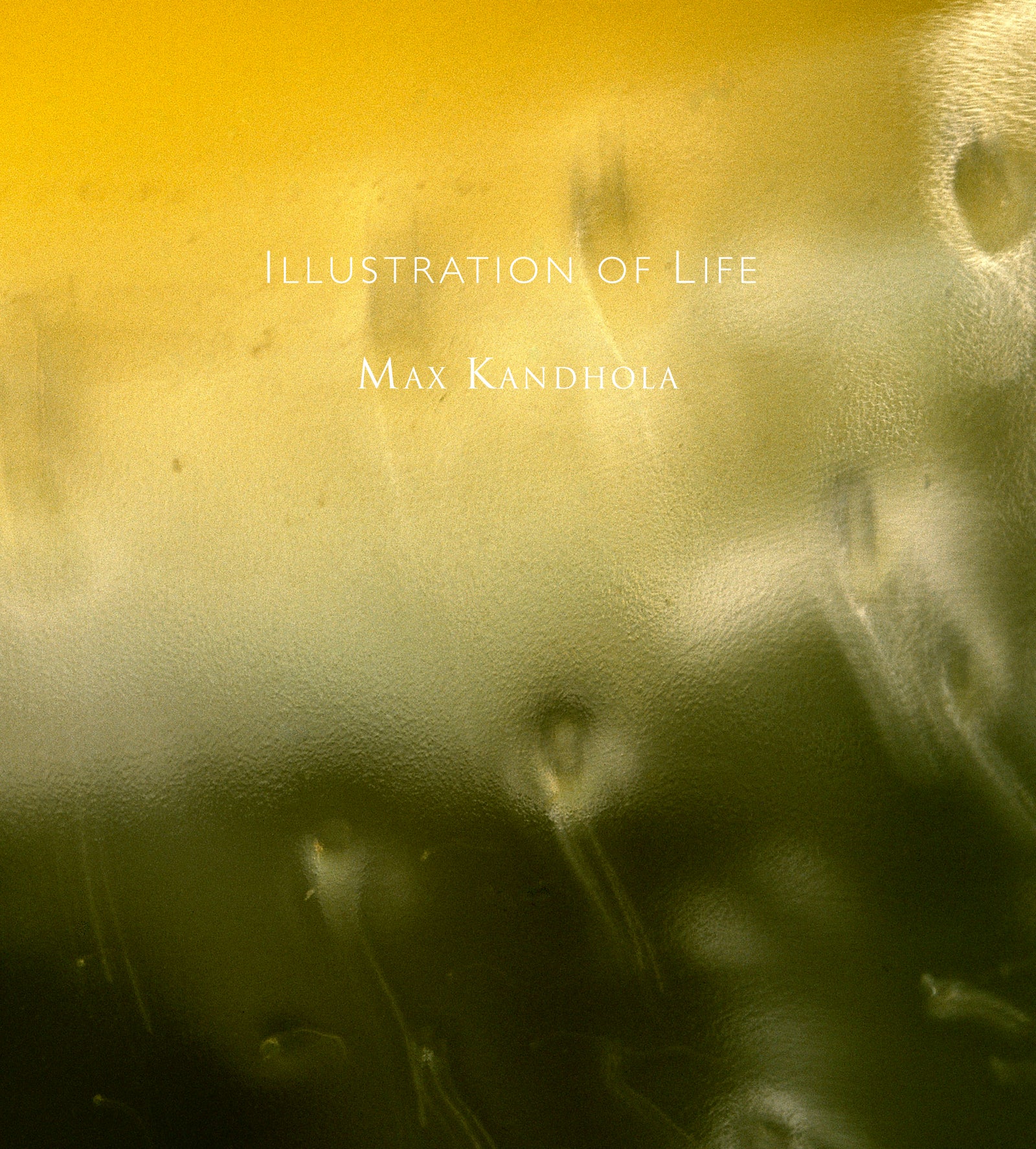 MAX KANDHOLA: Illustration Of Life