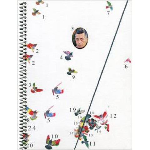 RICARDO CASES: Paloma al Aire