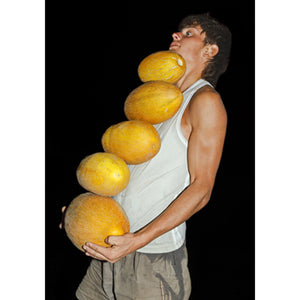 KIRILL GOLOVCHENKO: BITTER HONEYDEW