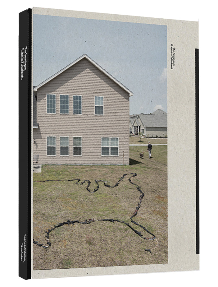 GABRIELE GALIMBERTI: The Ameriguns